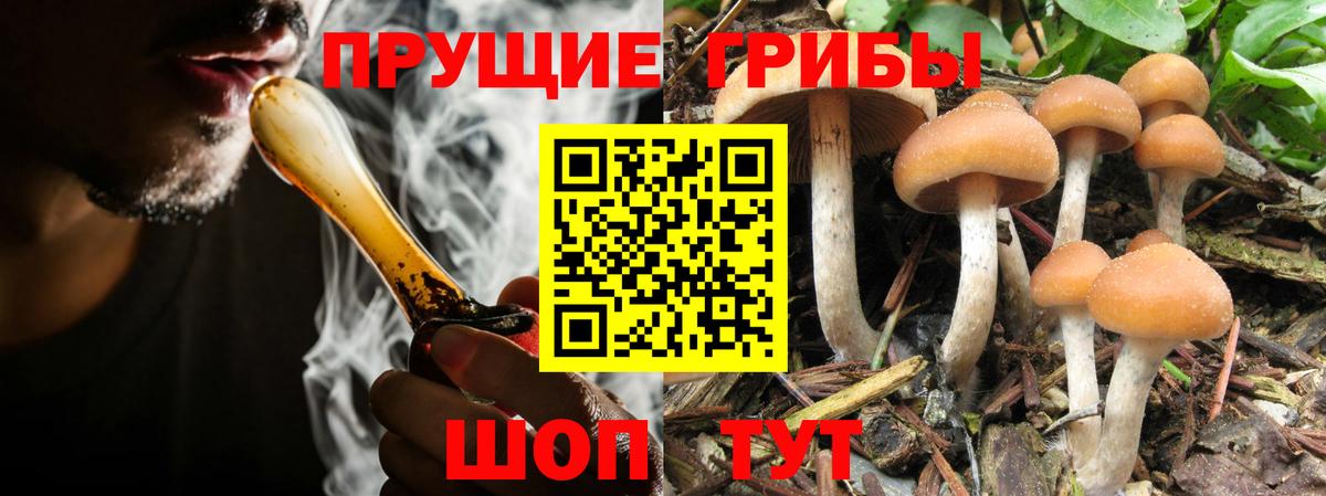 Псилоцибиновые грибы ЛСД Белогорск