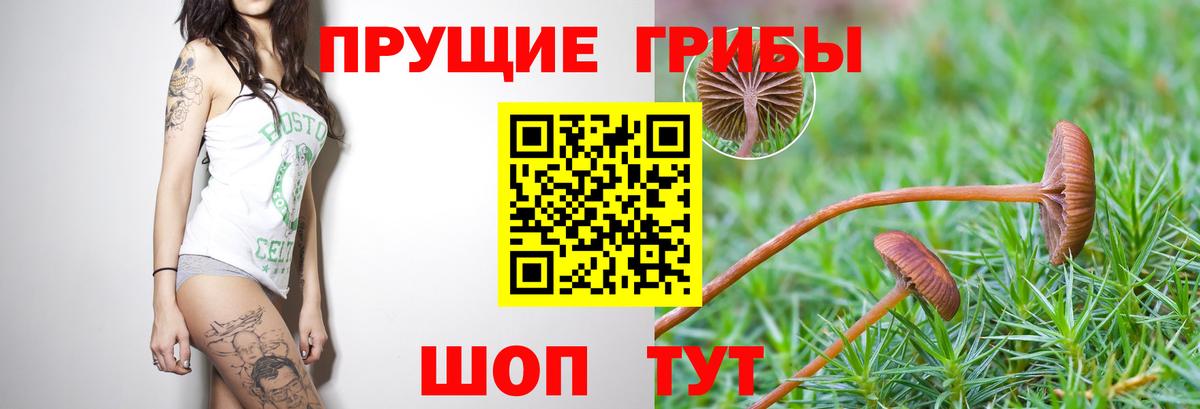 Псилоцибиновые грибы ЛСД  Вход с VPN  Белогорск 